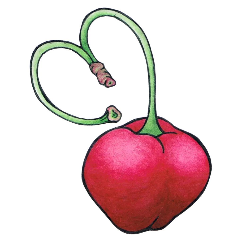 Tutti Sexy 37